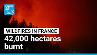 Fires in France: 42,000 hectares burnt, 220,000 people evacuated • FRANCE 24 English