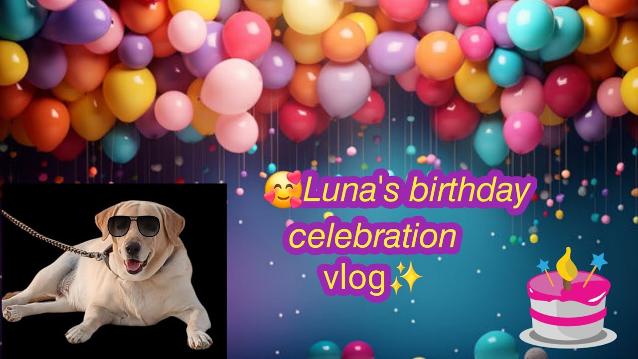 Luna🐶✨ ku Kuva Kuva🍼 day🎂 |birthday vlog|celebration|happy moments|special guests