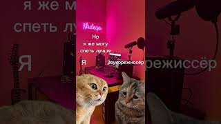 Типичные вокалисты #музыканты #записьвокала #жиза #коты #котики