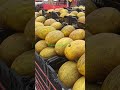 hami melon  #yummy  #healthy #food  #nutritious