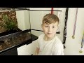 Vi fixar Ozzys Terrarium (Inredning)