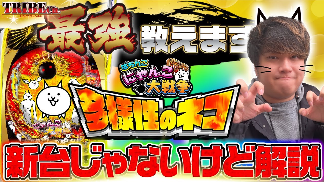 にゃんこ様 ブレス２点おまとめ にゃんこ様 ブレス2点おまとめ にゃんこ様 ブレス2点おまとめ