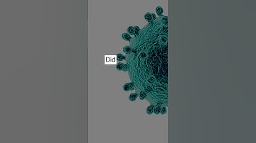 NanoBot Revolution Microscopic Marvels