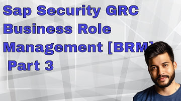 Sap Security GRC BRM 3