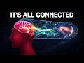 Quantum Consciousness Theory: Is Your Brain Connected to the Universe?