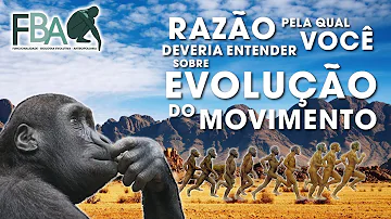 Como surge o movimento humano?