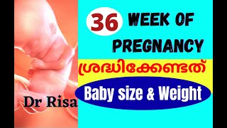 36 Week of Pregnant | pregnancy Week by Week Malayalam | 9 Month of Pregnant
