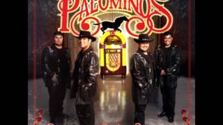 Los Palominos - Rockola Poppourri chords