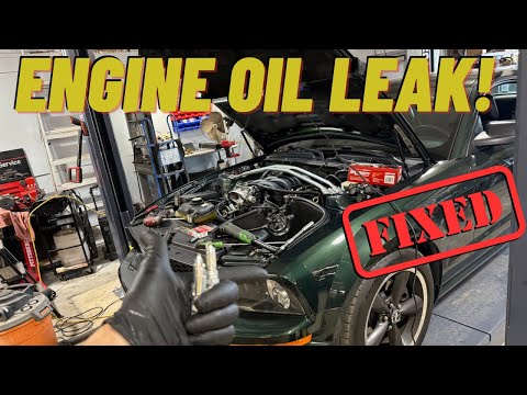 Counterfeit Parts Are Ruining Modern Vehicles! Ford Mustang Bullitt 4.6