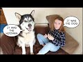 Dog and daughters love hate relationship is hilarious