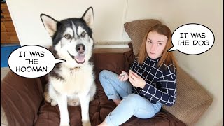 Dog and daughters love hate relationship is hilarious