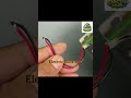 Door Open  From TTP3 Touch Sensor #shortvideo #automobile #electronic #electrical #experiment