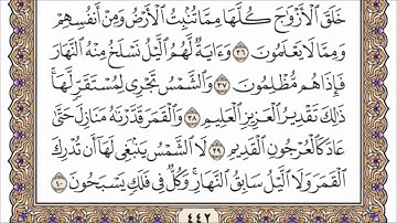 سورة يس القارئ الشيخ علي جابر رحمه الله تلاوة خاشعة مكتوبة جودة عالية جدا