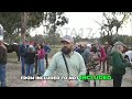 Chula Vista rohr park horse Arena: Controversial Funding &amp; Public Voice #shorts