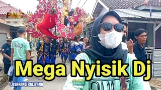 Singa Dangdut Putra Nafita Caya PNC 2024 || MEGA NYISIK DJ || Show Losarang Blok Kalisana