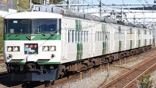 8031M 特急踊り子11号 185系宮オオOM04編成