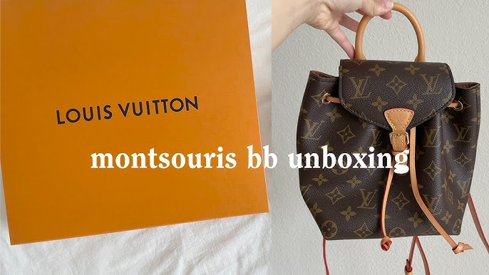 LOUIS VUITTON Monogram BB Montsouris NM Backpack CA4220 –