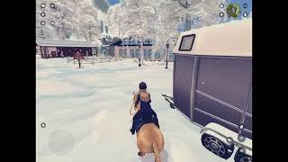 Winter routine/star stable