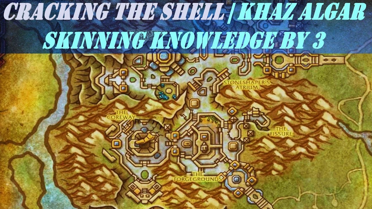 Cracking the Shell | increase Khaz Algar Skinning Knowledge by 3 | Algari Skinner's Notes