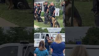 Officer Jeremy Berger’s Partner K9 Tommy: Final Farewell After Battle with Aggressive Cancer