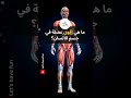 ما هي أقوى عضلة في جسم الأنسان 