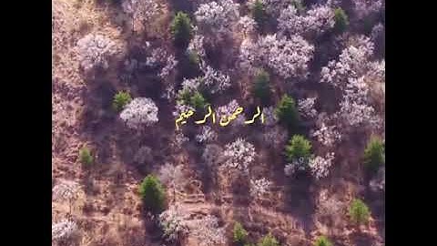 سورة الفاتحة ( أرح سمعك.. ) بصوت القاريء .. ( نايف الفيصل )