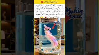Beautiful Rare Fish#islamicreminder #islamicvideo #islamicshorts #subhanallah #viral #inshallah