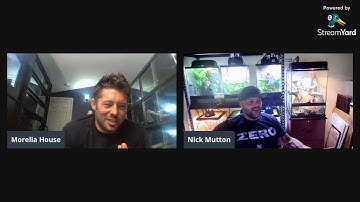 Picking out carpet pythons with Nick Mutton