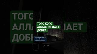 ТОГО КОГО АЛЛАХ ЖЕЛАЕТ ДОБРА #хадисы #напоминание #пророкмухаммадﷺ