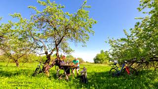 Яблоневый Сад Таймлапс 4К Apple Orchard Timelapse 4K video