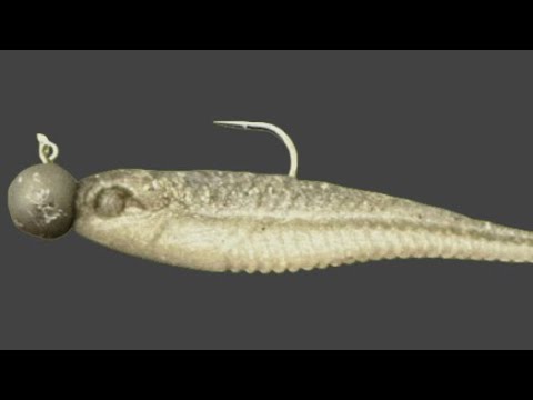 The Stupid Jighead Minnow…An Insult To Bass Fishing And The Bass…