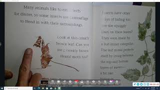 Insect Detective