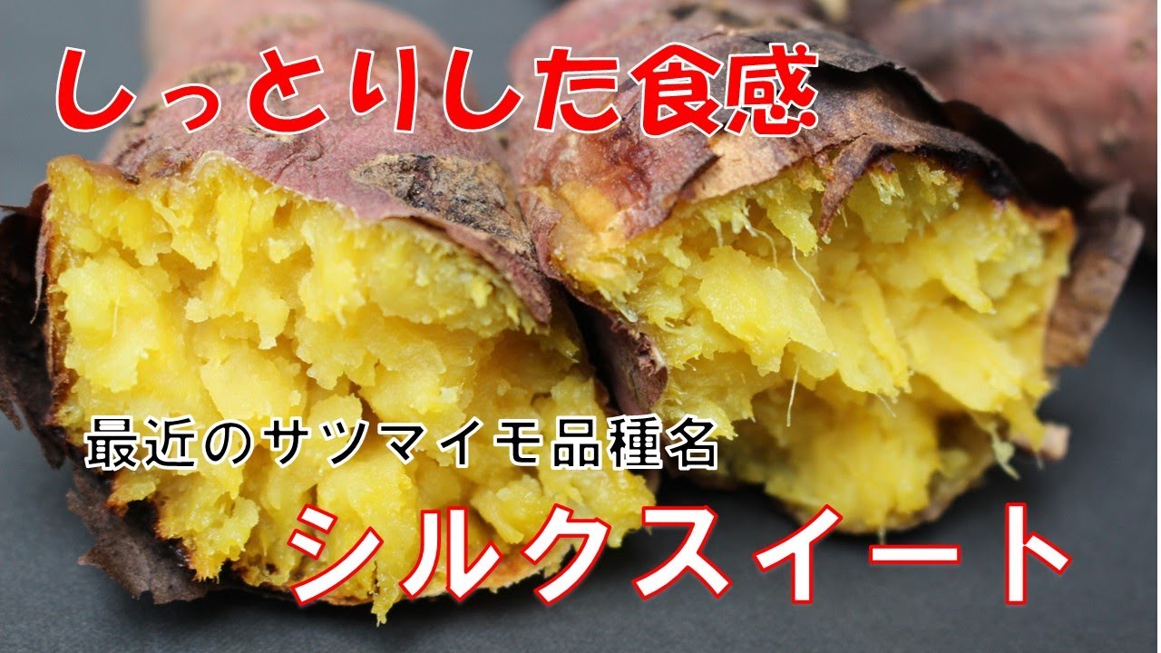 サツマイモ「シルクスイート」は、粘質で絹のようなしっとりなめらかな