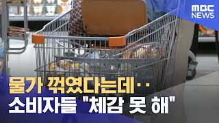 물가 꺾였다는데‥소비자들 \