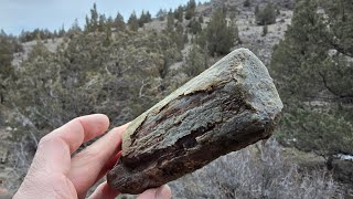 Trip to Congleton Hollow in Search of Agate Limb Casts: Rockhounding Oregon 2024