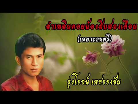 ลำเพลิน​คอย​น้อง​สิบสองเดือน​ (เฉพาะ​ดนตรี)​ -​ รุ่งโรจน์​ เพชร​ธงชัย​