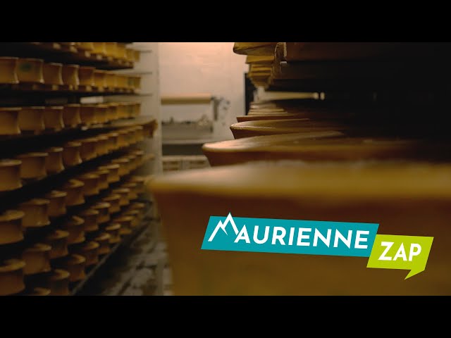 Maurienne Zap #677