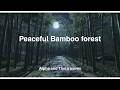 Night in the Whispering Bamboo Forest | Relaxing Alpha & Theta Waves