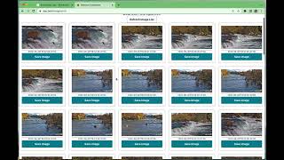 Bearcam Companion Demo screenshot 1