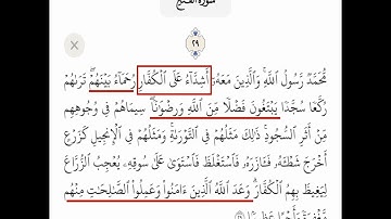 محمد رسول الله " سورة الفتح " للقارئ طارق محمد