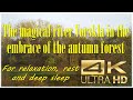 The magical river 4K. Relax Магічні береги річки Ворскла