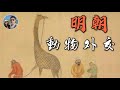 明朝的動物外交｜麒麟到底是什麼動物？｜穆Sir講故EP114