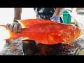 Cutting Red Wavy Lined Grouper | Fish Cutting Skills