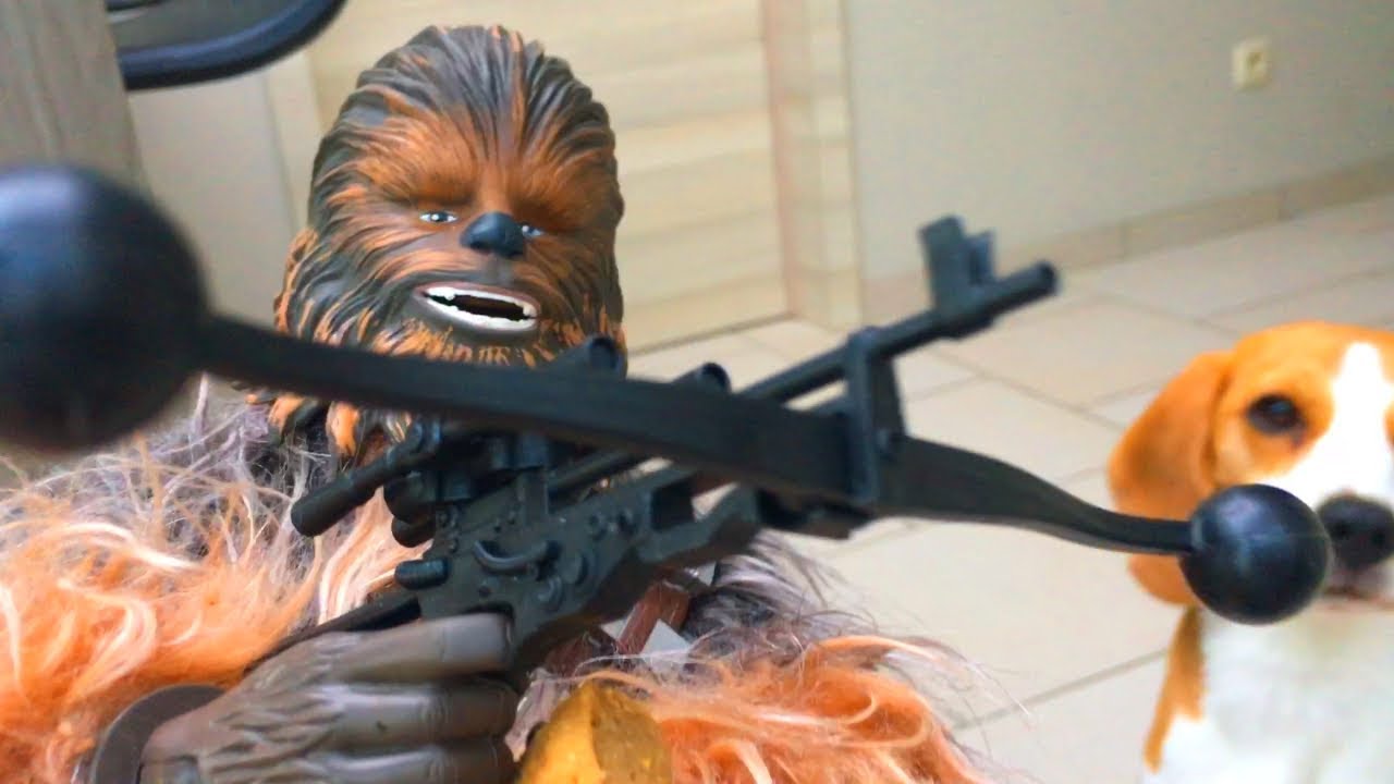 Funny Dogs Startled By Star Wars Chewbacca Toy YouTube