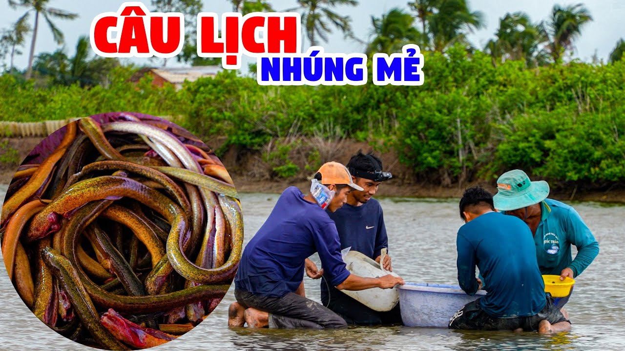 Dầm Mưa Câu Lịch, Nhúng Mẻ Lai Rai Ngày Mưa