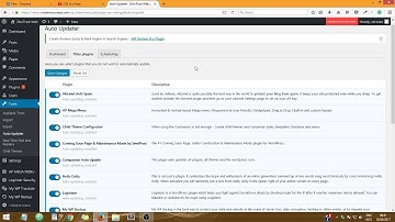 Automatically Update Wordpress Theme and Plugins (Video #2)