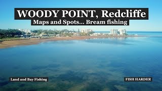 WOODY POINT, Redcliffe, Bream in the shallows