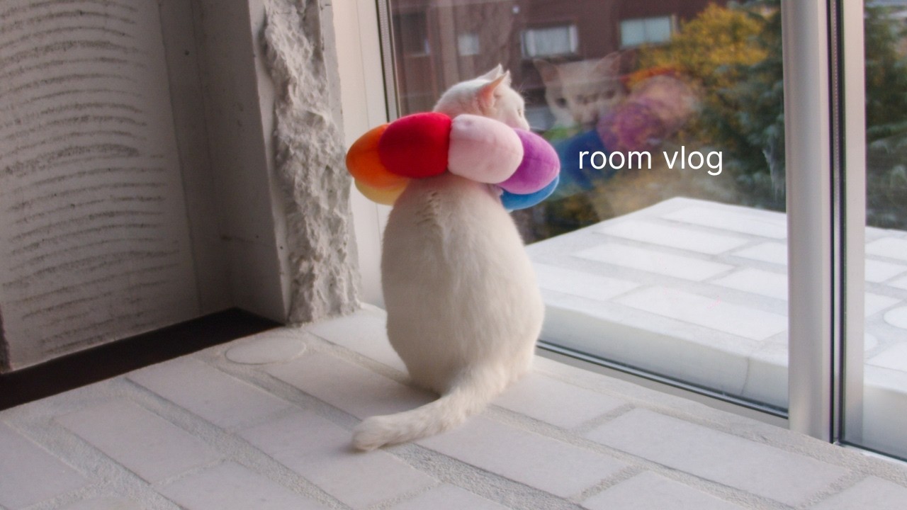 room vlog｜東京で築50年の部屋をリノベした30代｜冬の購入品｜096