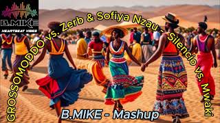 GROSSOMODDO vs. Zerb & Sofiya Nzau - Silencio vs. Mwaki (B.Mike Mashup) Resimi