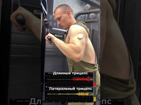 Трицепс и миограф💪🏼За персональным планом обращаться в телеграм:@TrainerSmirnoVV
